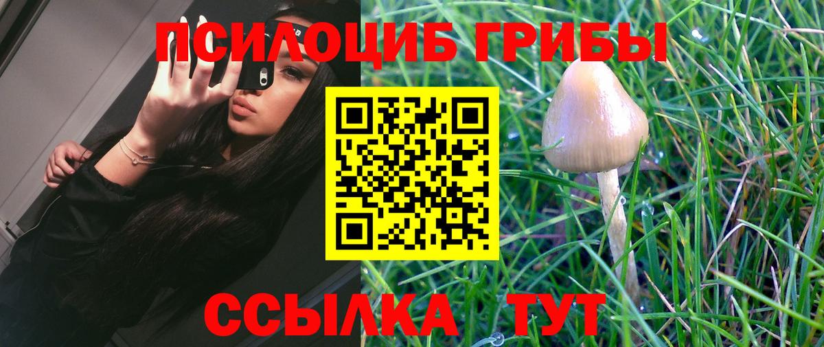 Наро-Фоминск  Псилоцибиновые грибы Magic Shrooms  где купить наркотик  Вход с VPN 