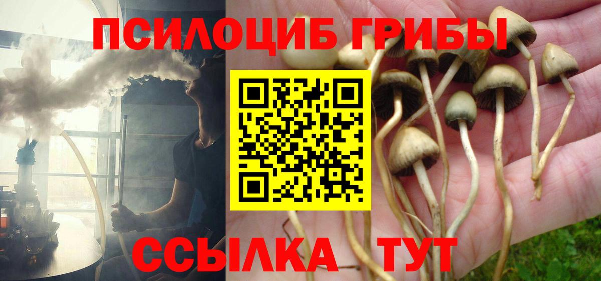 Псилоцибиновые грибы мицелий Наро-Фоминск